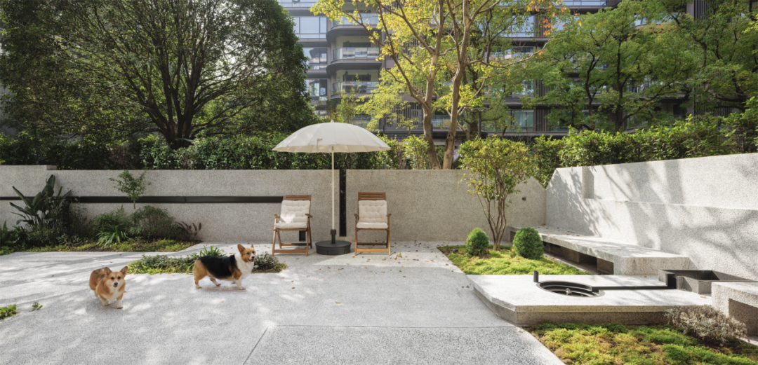 汪星人科科和臭臭的亲密无间家园丨中国重庆丨重庆微观室内设计有限公司-1