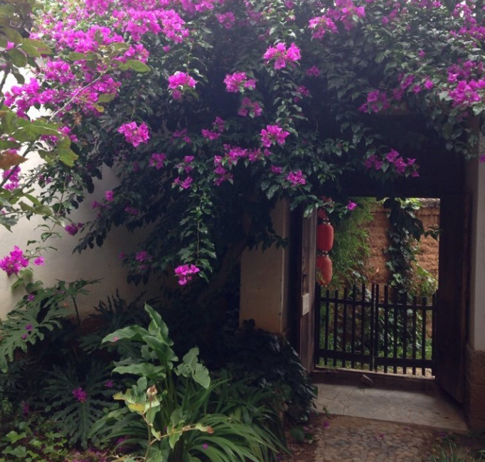 院落生活 | 诗与远方的完美结合-50