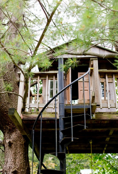 My Houzz: Lush Landscaping Creates an Idyllic, Personalized Garden  -  Decor Ideas-47