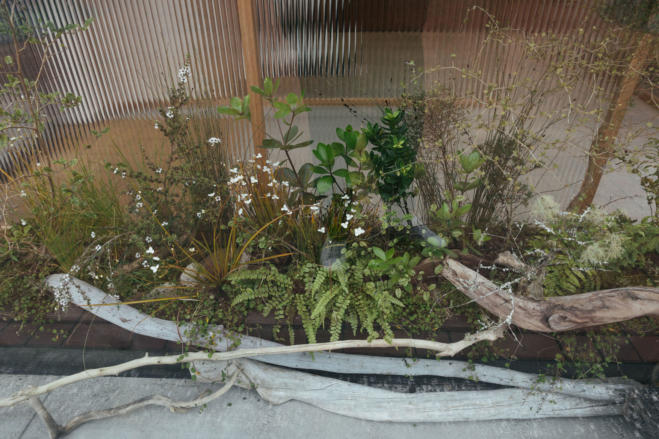 Maggie Marilyn - Xanthe White Design-2