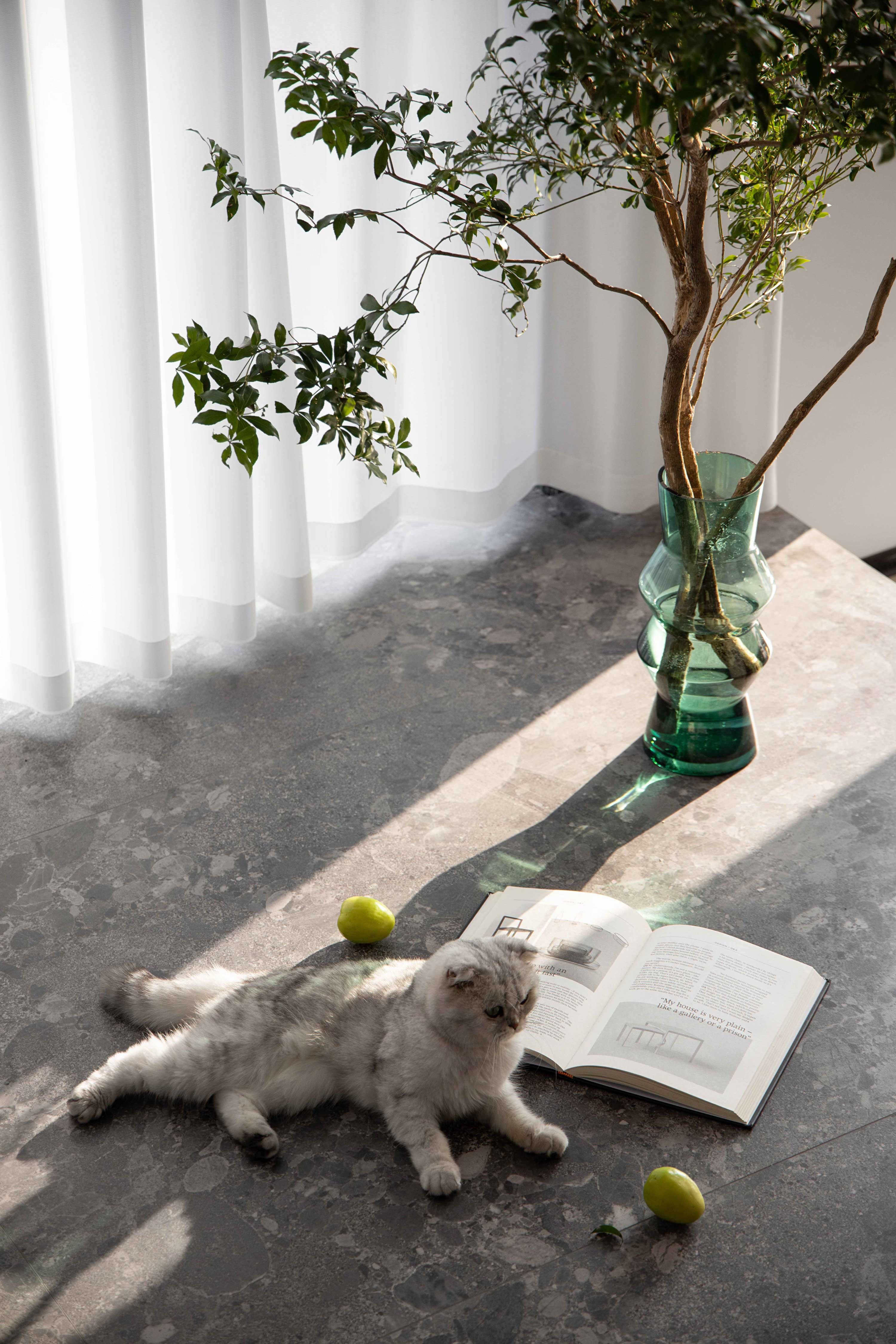 凤凰山庄丨中国安徽丨度设计机构-30