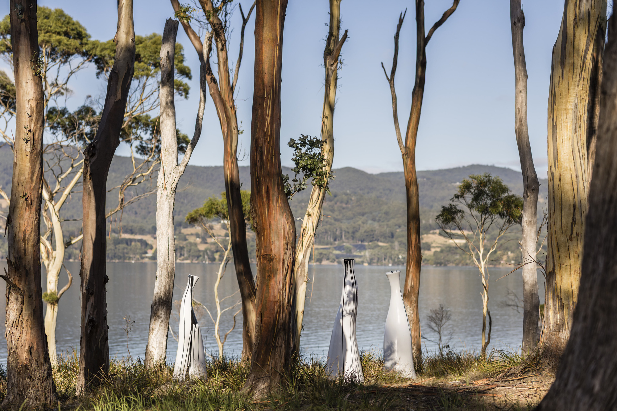 海边民宿丨澳大利亚塔斯马尼亚丨Room 11 Architects-33