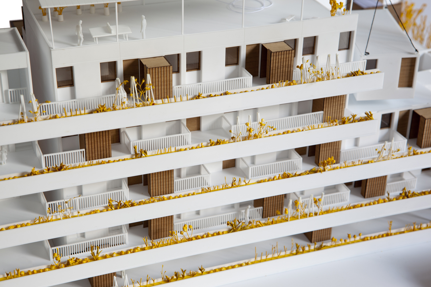 PLUG-IN – «BIENVENIDO A CASA» PREMIO SOLVIA A LA INNOVACIÓN EN EL DISEÑO DE LA VIVIENDA | Anna & Eugeni Bach-40