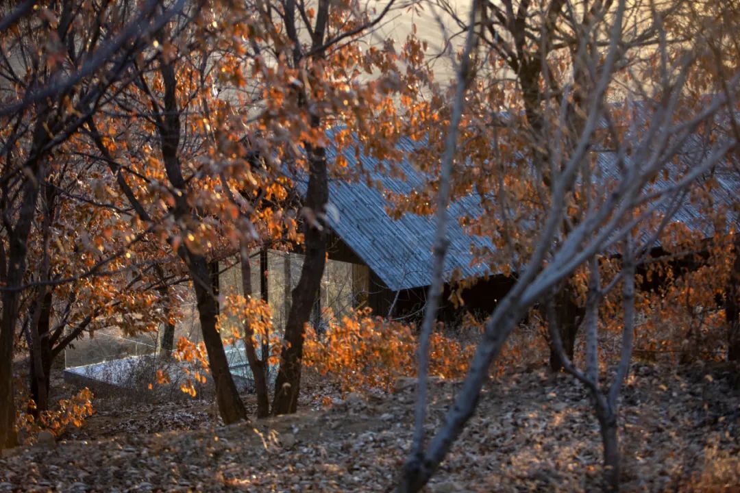 树下·山中木屋丨中国洛阳丨二合永设计-7