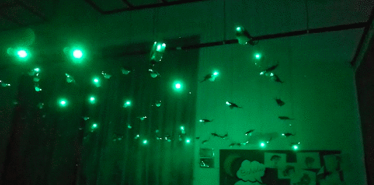 仿生美学 | 景观设计的新视角-48