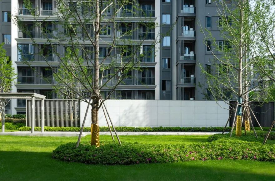 中南作品 | 杭州棠玥湾,屹立城市的艺术坐标-32