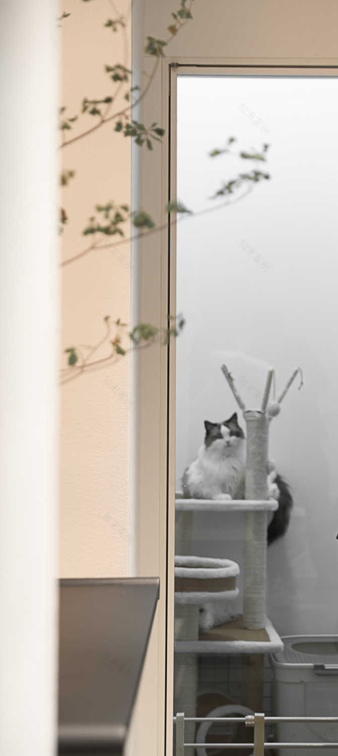 《空谷余音》600㎡别墅设计丨李康,张茜-50