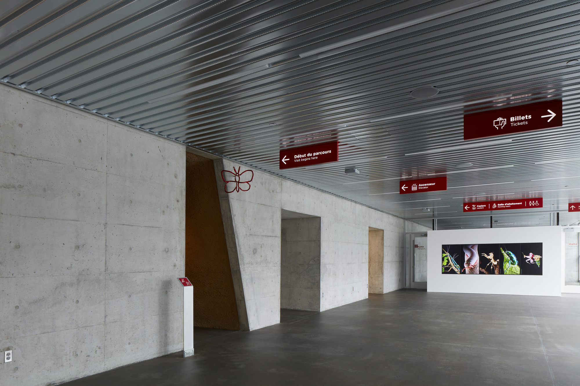 蒙特利尔昆虫馆丨加拿大蒙特利尔-21