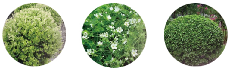 金地中心丨中国盐城丨LAURENT罗朗景观-71