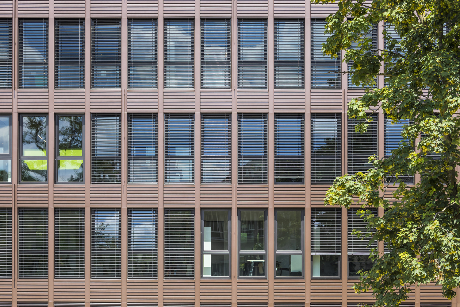 法国 MaisonsAlfort ONF 总部-20