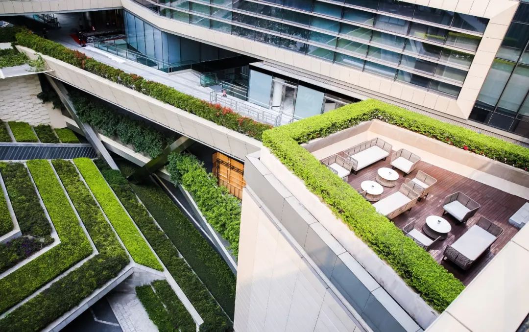 设计无界,温度有声——桓普设计深湾会之旅-6