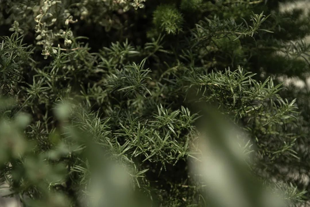 瑞族VZUG重庆展示厅丨中国重庆丨荷李洪空间设计-62