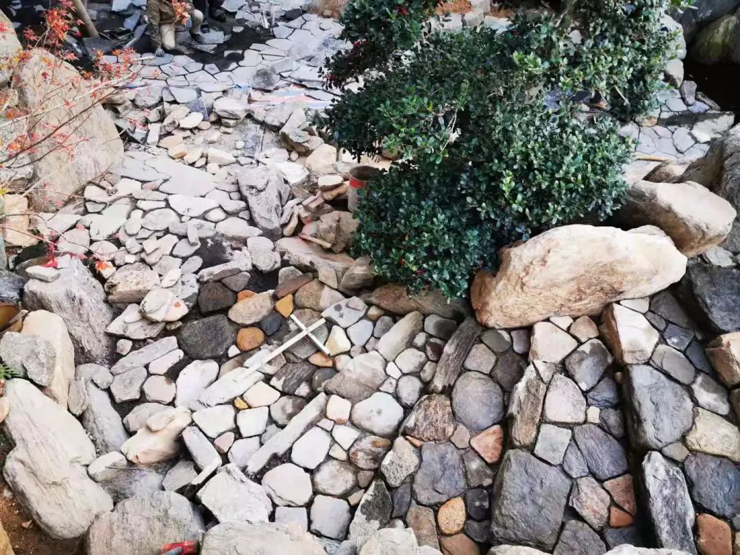 和汇造园匠心传承 | 大桥镐志山东实地授课-37