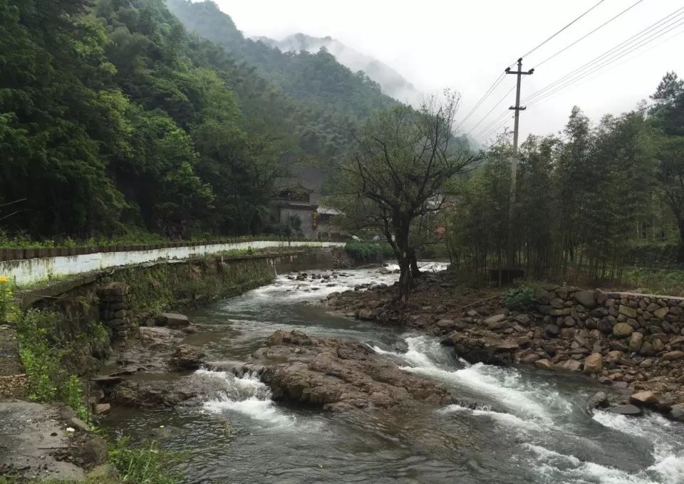 重见山水 | 临安鱼乐山房民宿改造设计-21