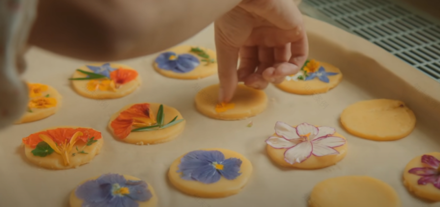 90后妈妈带家人住进森林别墅丨德国丨Thuy Dao和老公T-67