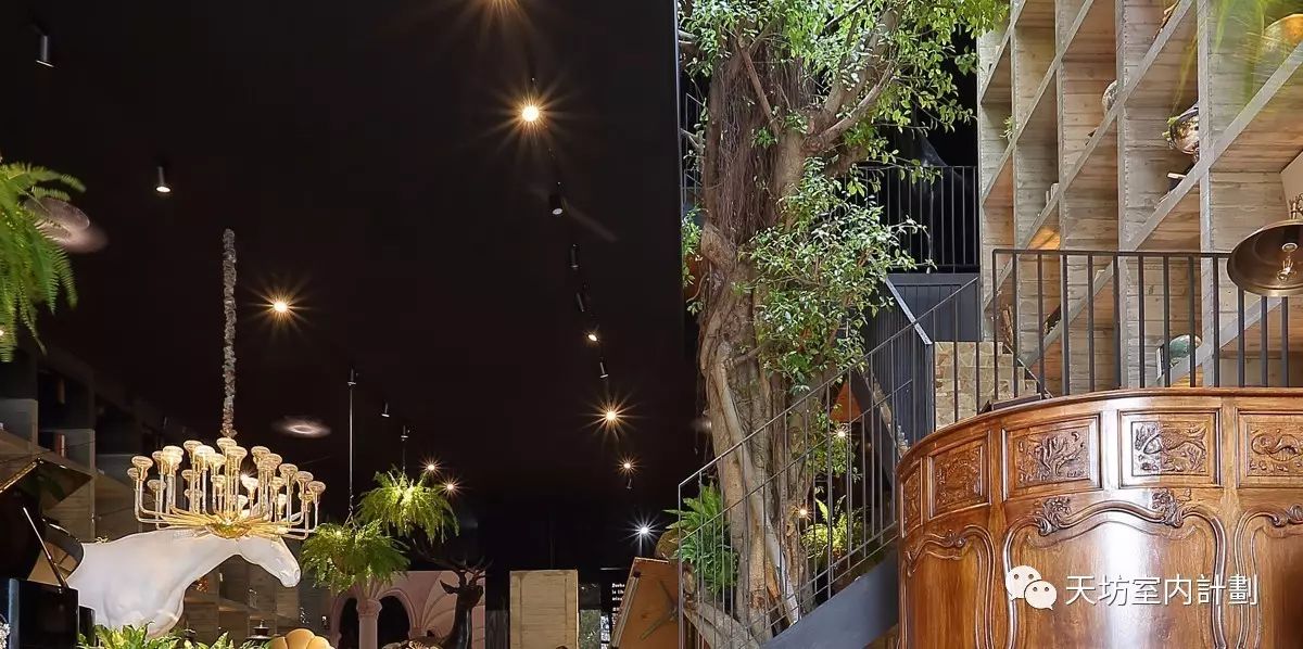 【乐乐书屋 | LELE BOOKS HOUSE】-7