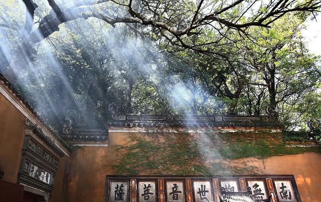 普陀山禅意之旅丨中国普陀丨KLID达观-70