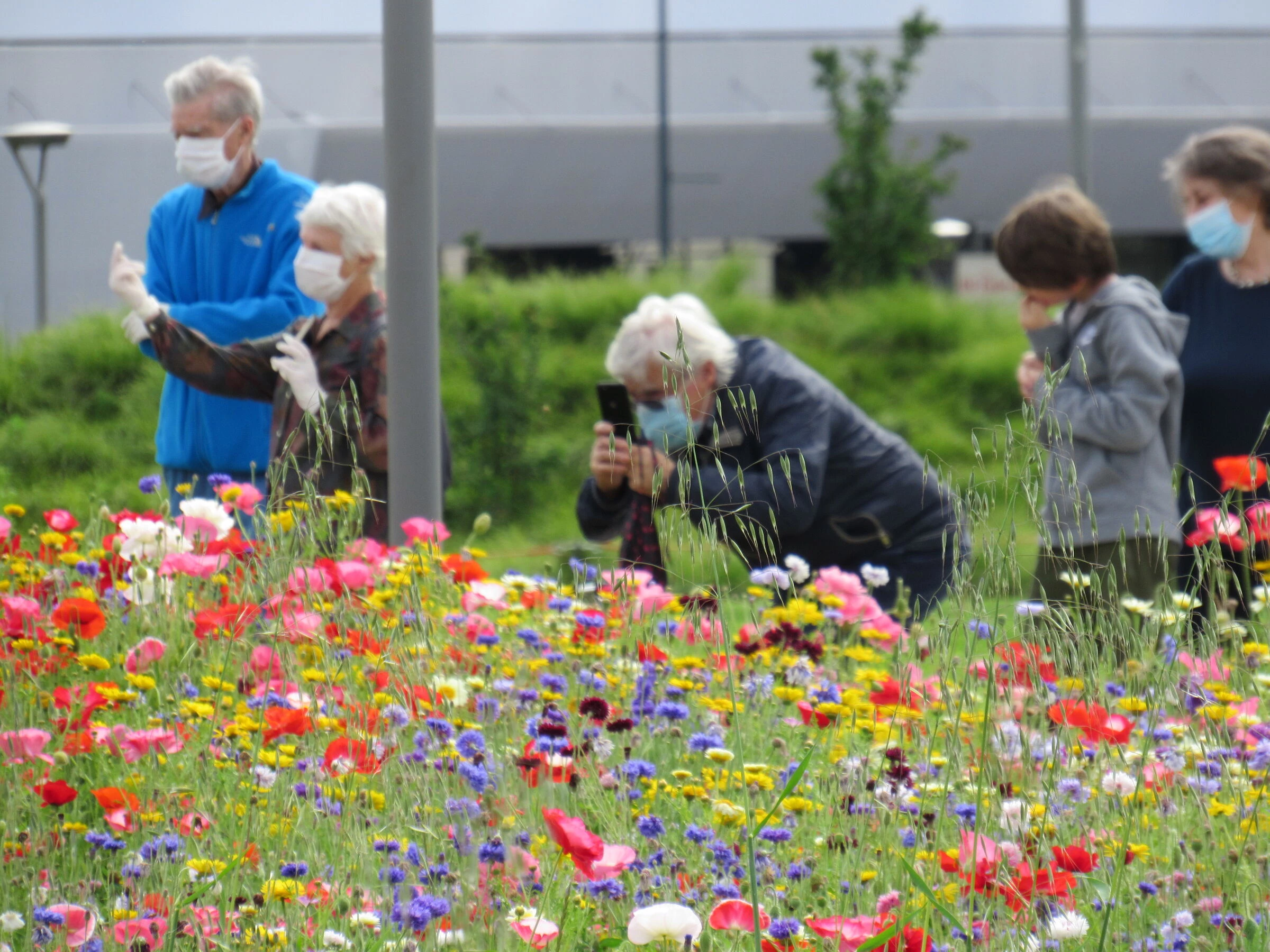 树木图书馆公园丨意大利米兰-23