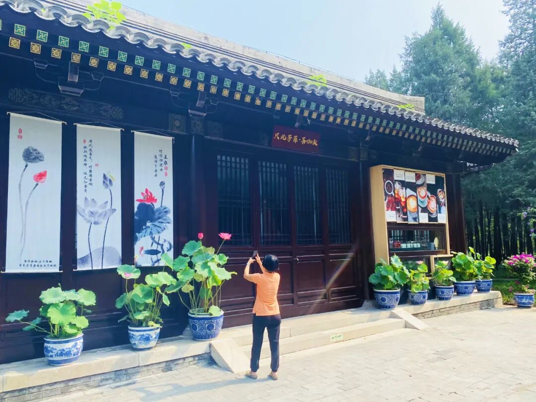 海淀新添宝藏打卡地！古风茶咖随手拍，就在这个公园——-11