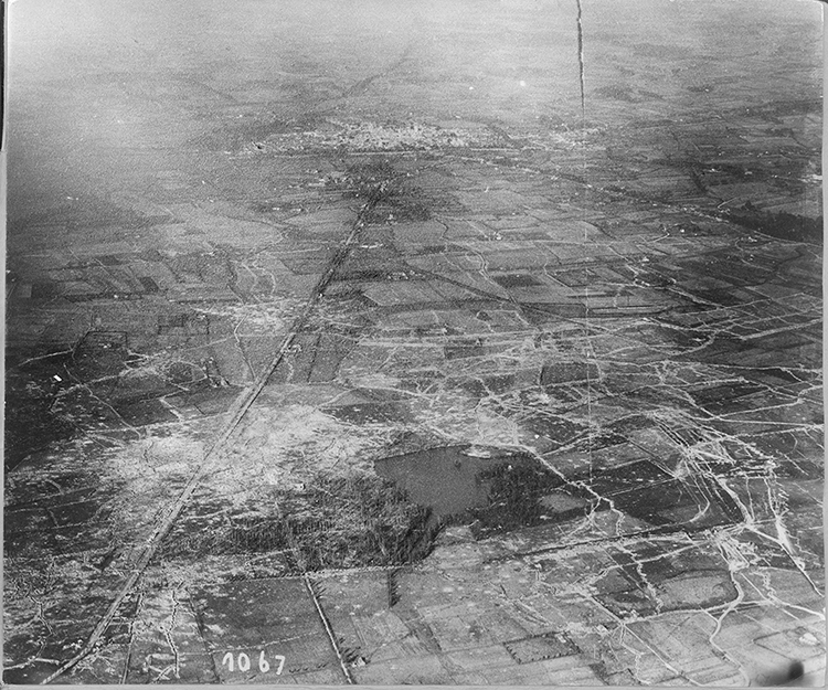 Ypres地区一战纪念榆树种植项目丨比利时丨未明确提及统一设计方,部分由Antwerp工作室设计-17