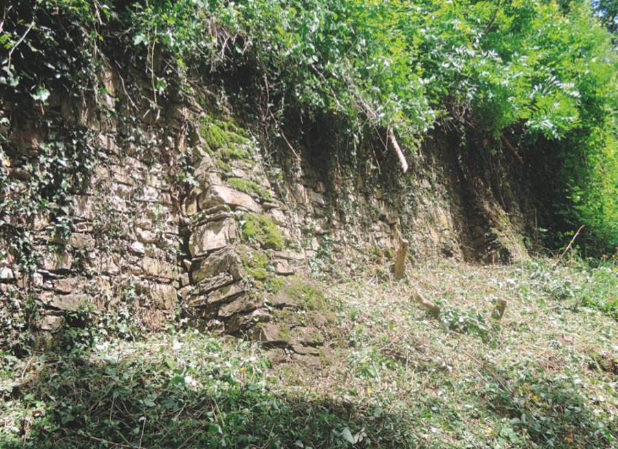 Vorarlberg Vanovagasse挡土墙修复项目丨奥地利福拉尔贝格-13