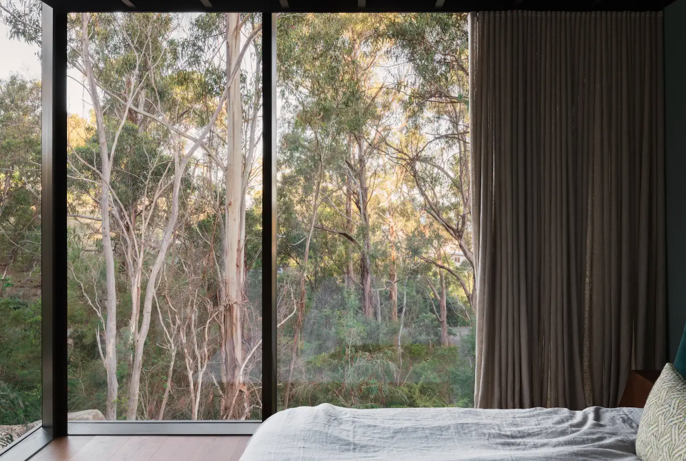 林栖之诗：Archier在塔斯马尼亚的自然共生住宅-14