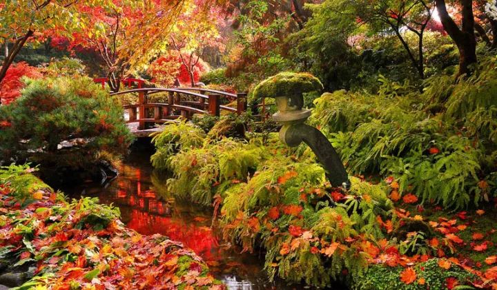 世界上最大的私家花园,迄今已有116年历史!-64