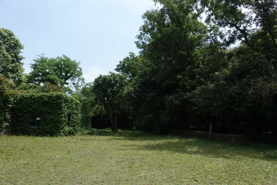 鹿野苑，经验与体验之间丨碎片笔记-33