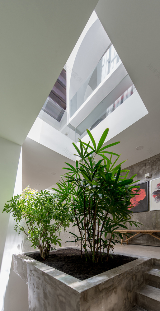 Backyard House AD+studio-63