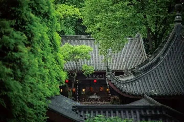 禅意园林 · 中日寺庙与园林文化的对比丨日本-14