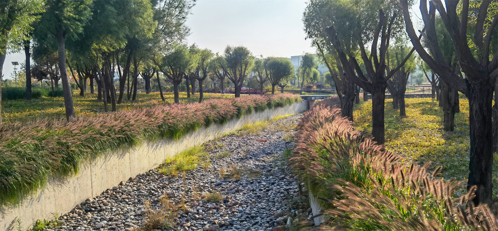 宁夏固原市海绵公园丨中国固原-14