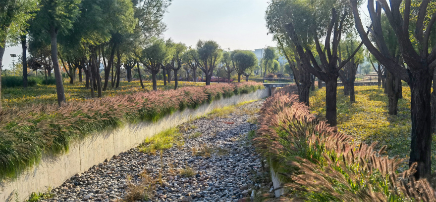 宁夏固原市海绵公园丨中国固原-14
