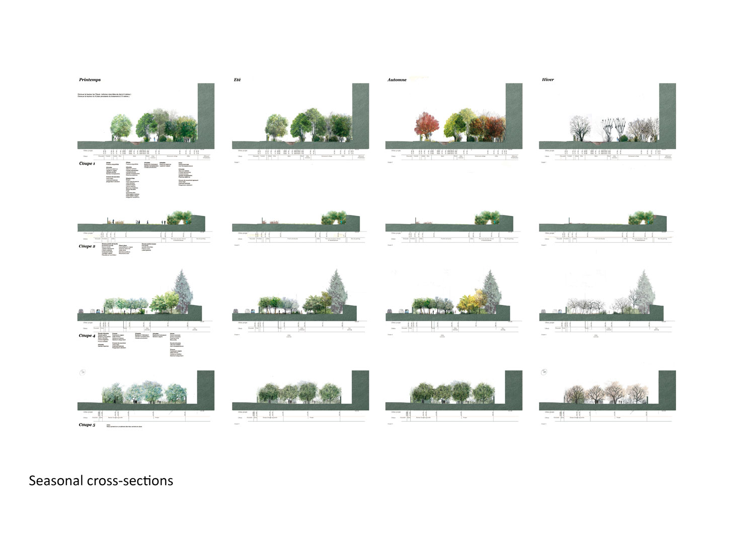 城市教育绿洲 · 埃德瓦·格利桑特花园-18