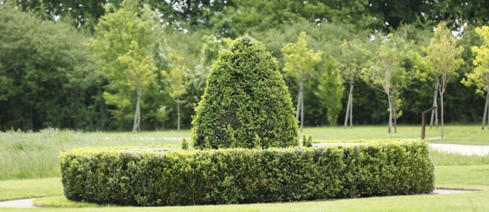 Domain of Chaumont-sur-Loire and International Garden Festival - France-50