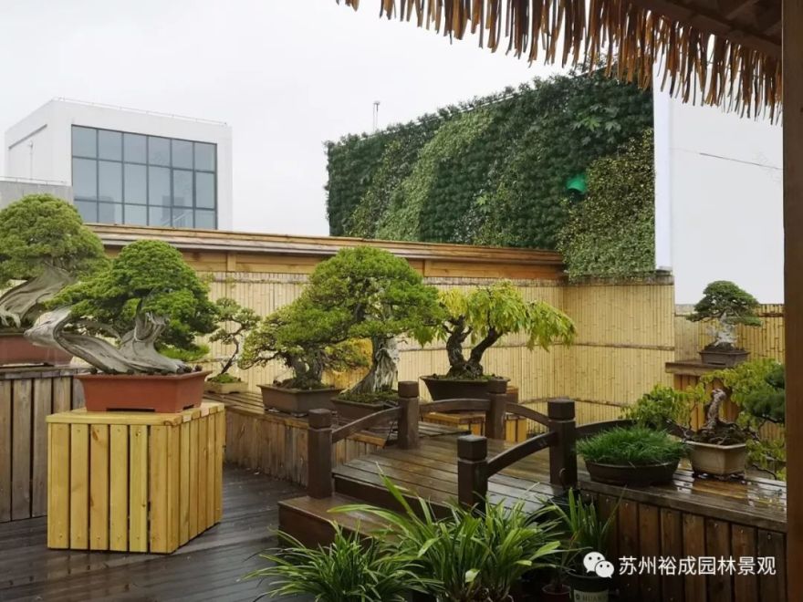 禅意屋顶花园,品茗抚琴如诗如画-8