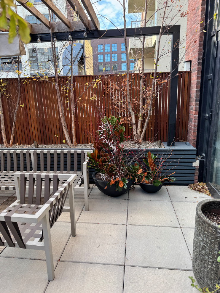 Williamsburg terrace-14