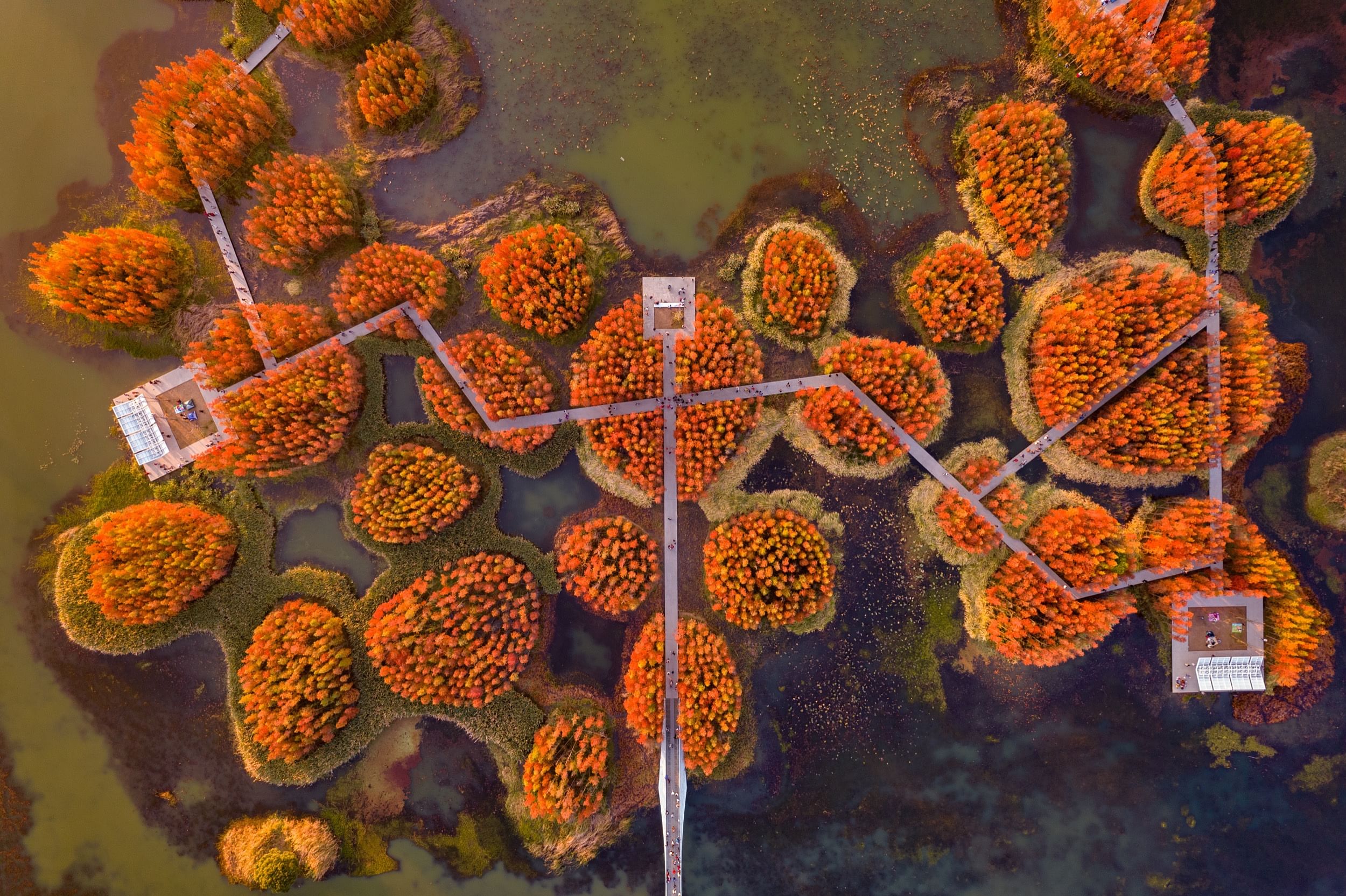 鱼尾巴公园（Fish Tail Park）丨中国南昌丨北京土人景观（Turenscape）-30