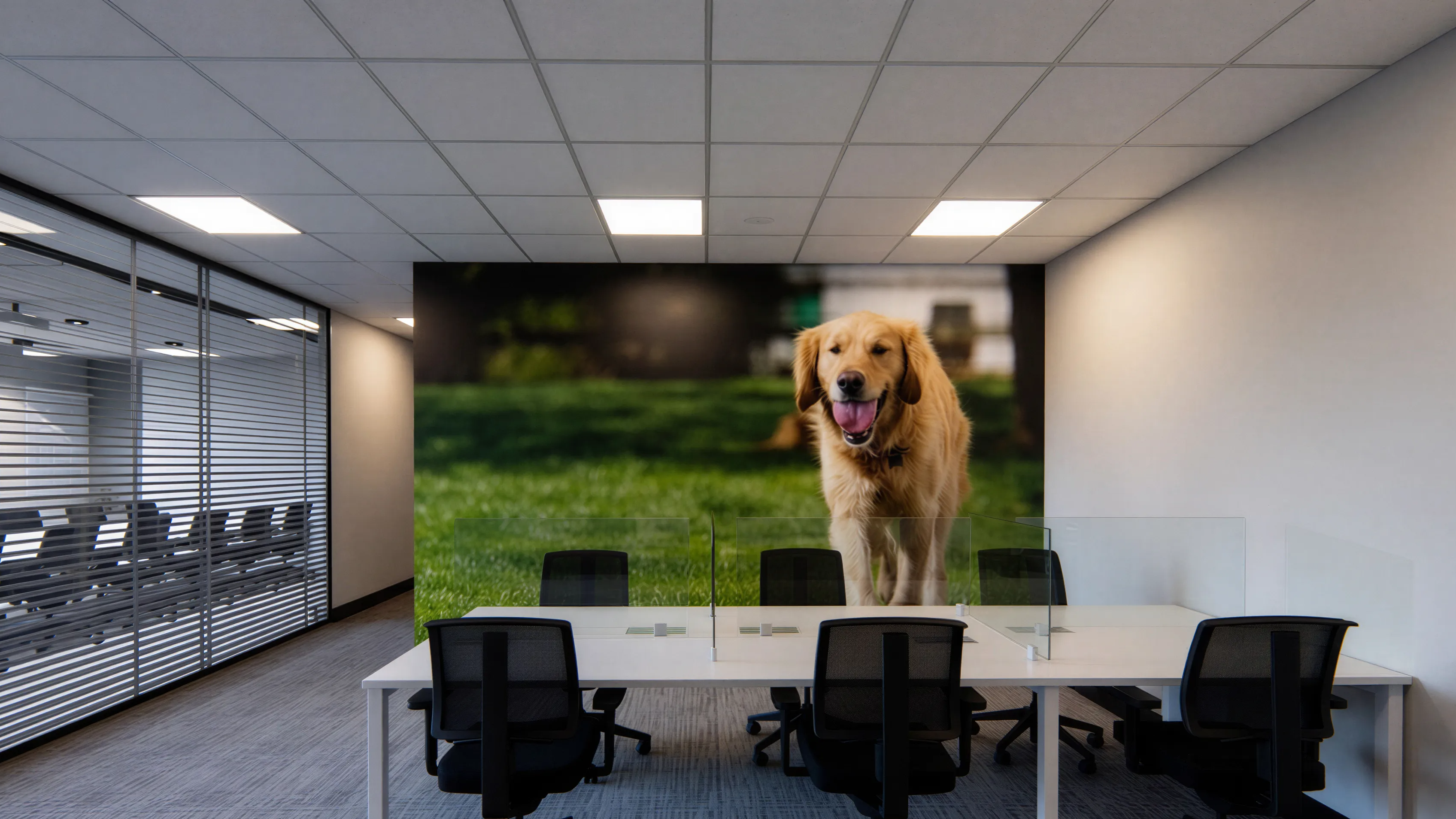 ALF - Allflex escritório | Office-8