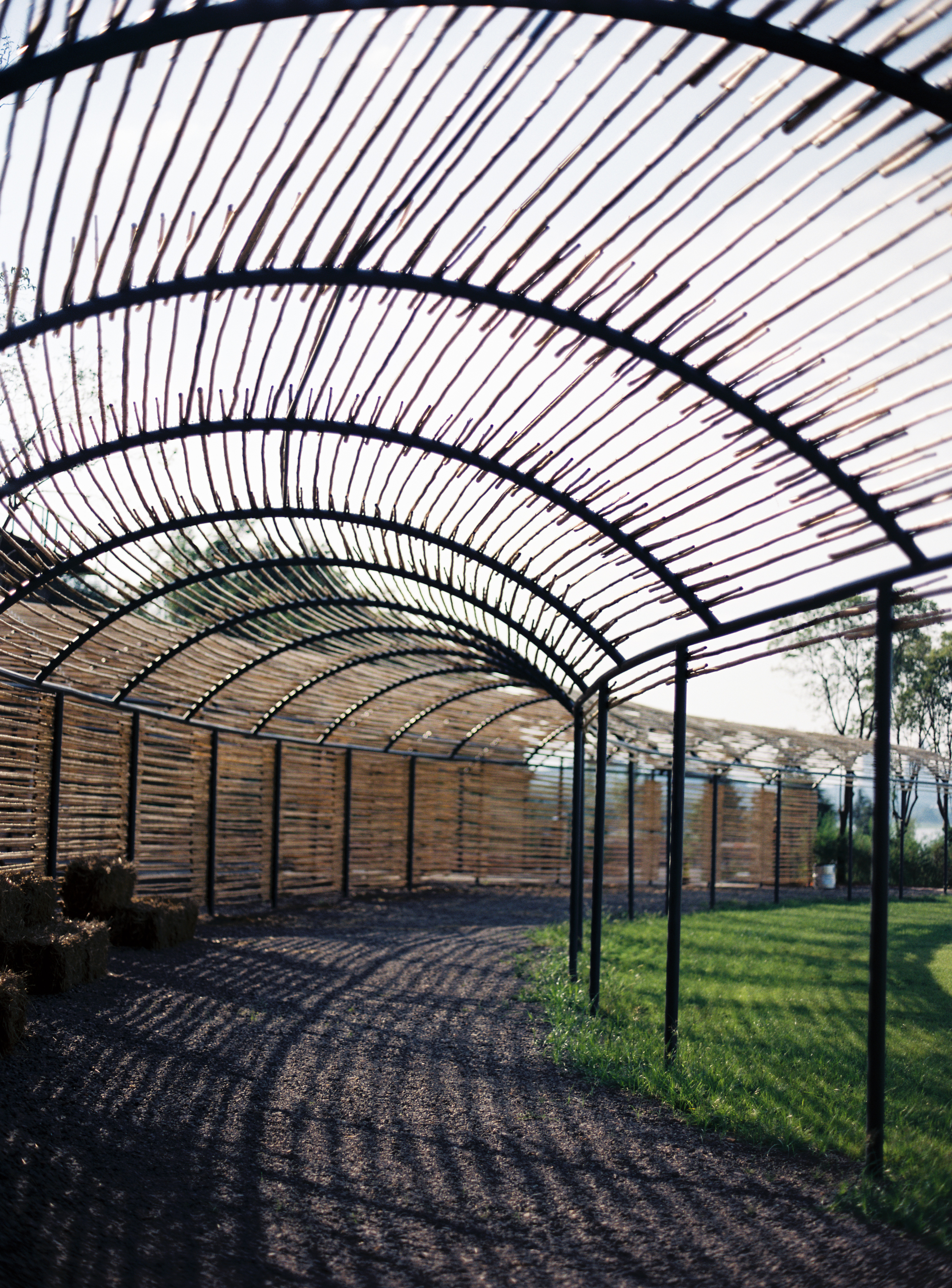 谷堆白沙 一期 景观丨中国白沙丨boll是园-64