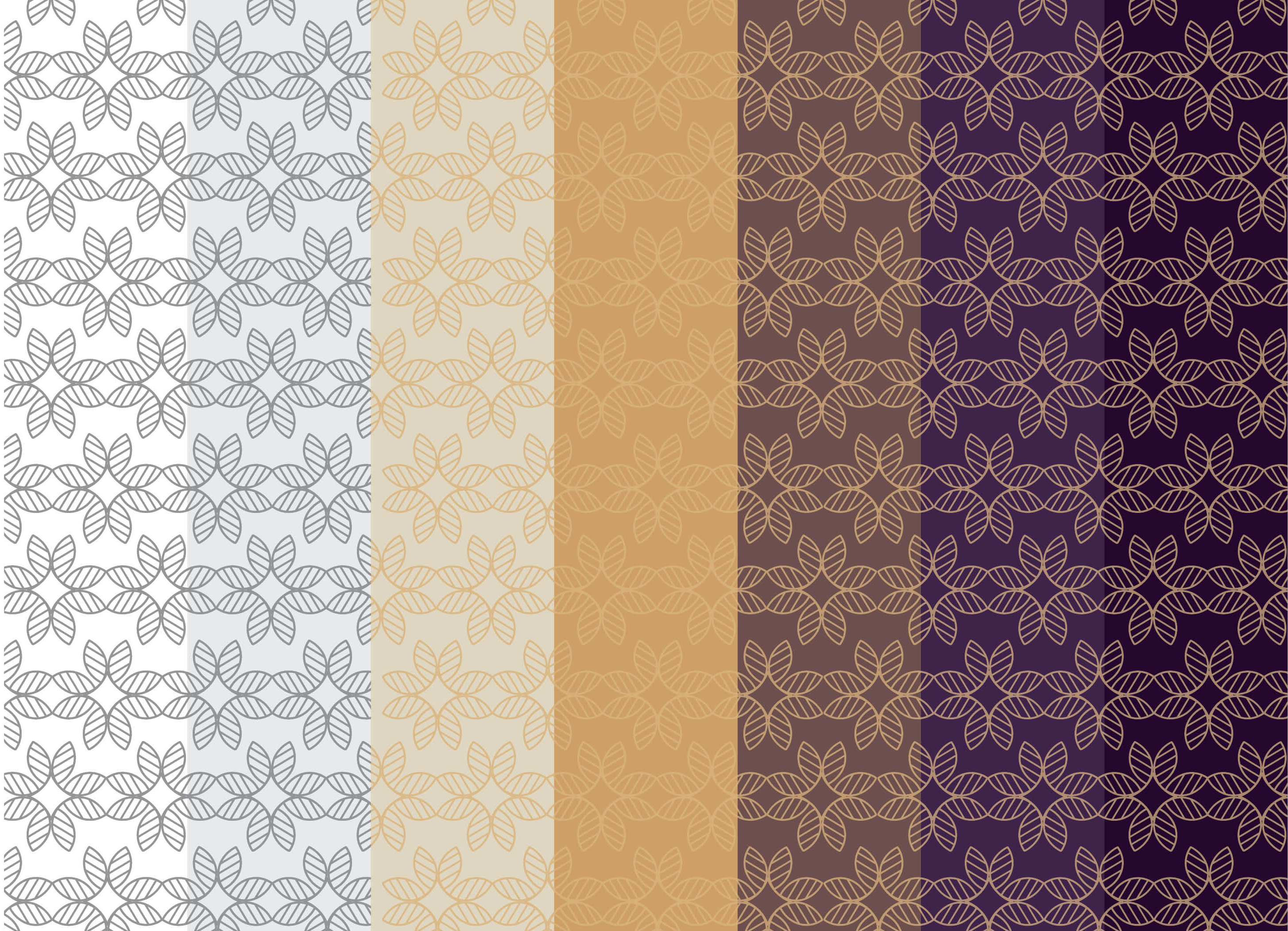 梅德斯时尚品牌塑造-17