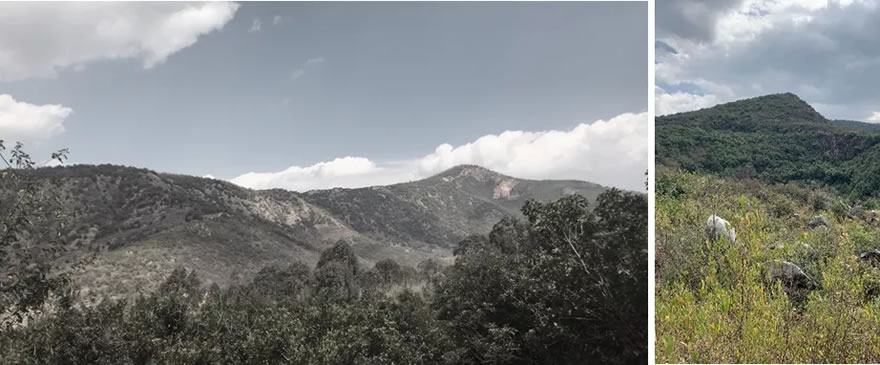 汉华天马山温泉酒店-15