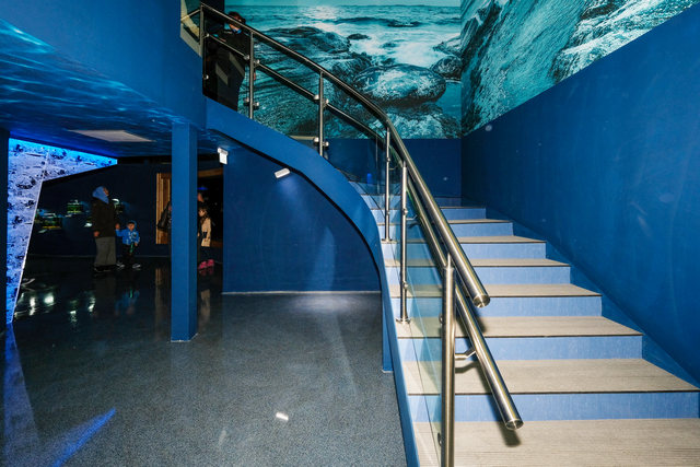 圣彼得堡海洋馆新展览创建项目丨俄罗斯圣彼得堡-18
