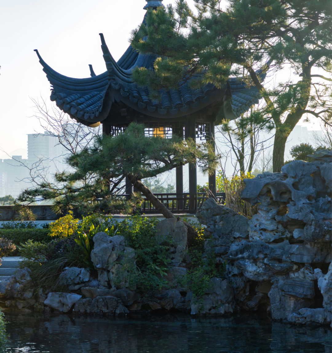 云栖玫瑰园丨中国杭州丨杭州云杉庭园设计工程有限公司-11