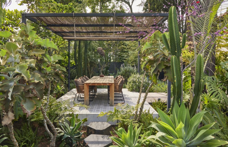 门前野趣丨TERREMOTO-116