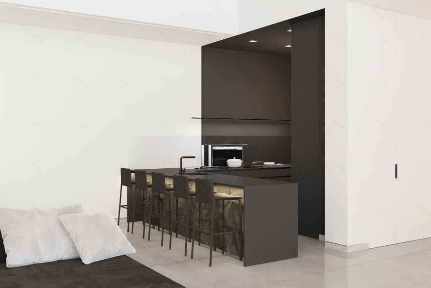 黑色版房屋室内装饰丨Golub Architects-16