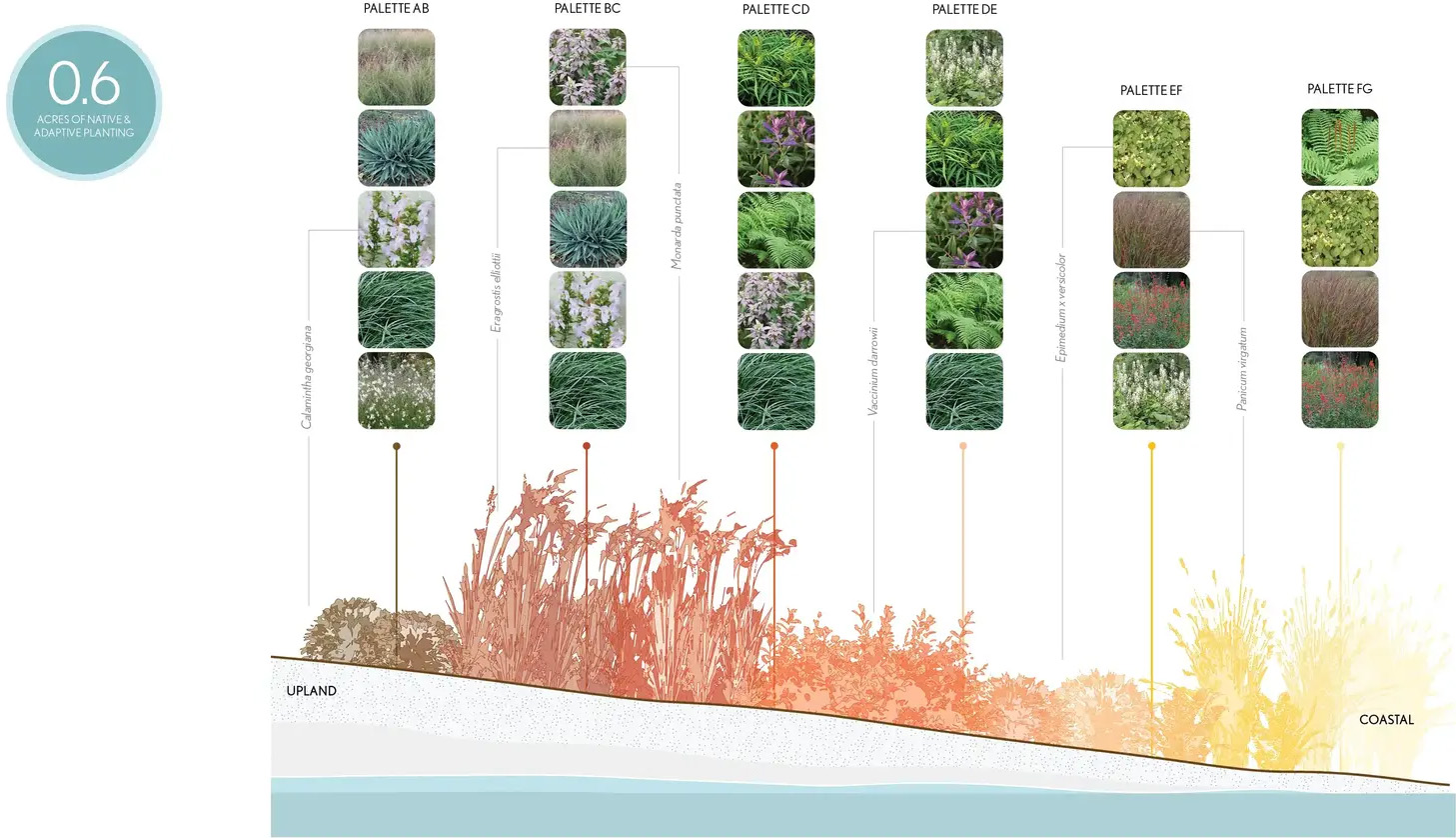 坦帕水街的连绵树冠丨美国丨Reed Hilderbrand-37