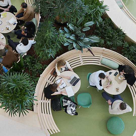Deloitte Workplace Sydney by Hassell | Australian Interior Design Awards-5