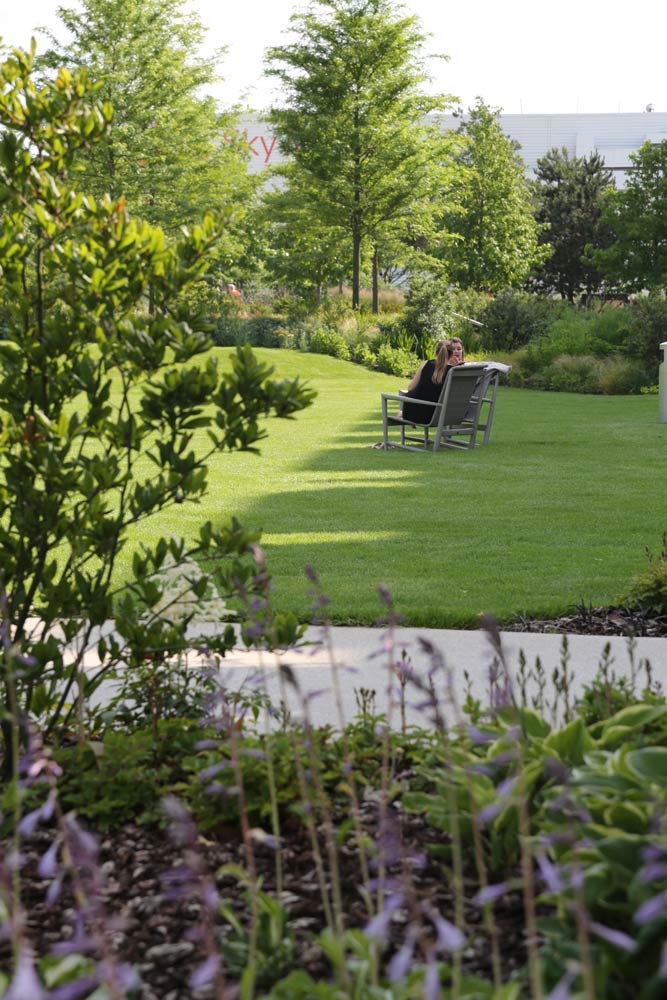 天空英国总部 | 绿色生态的办公环境-33