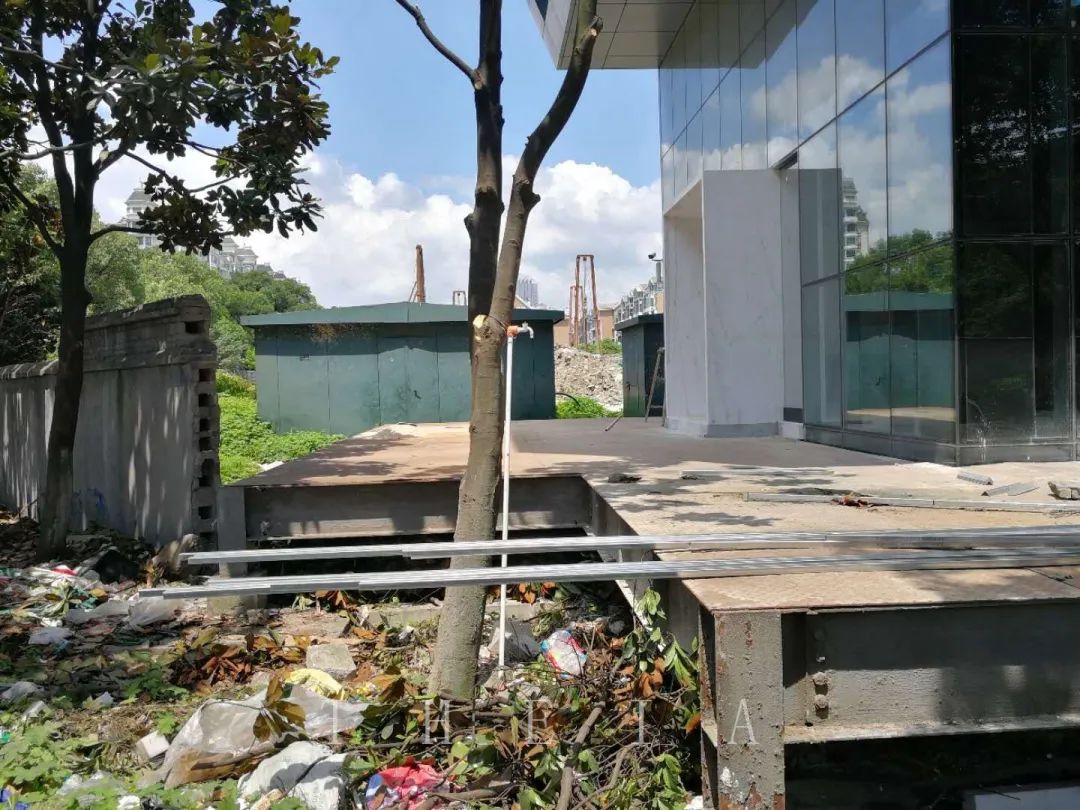 迪赛·东篱 | 闲田信步，采菊东篱-24