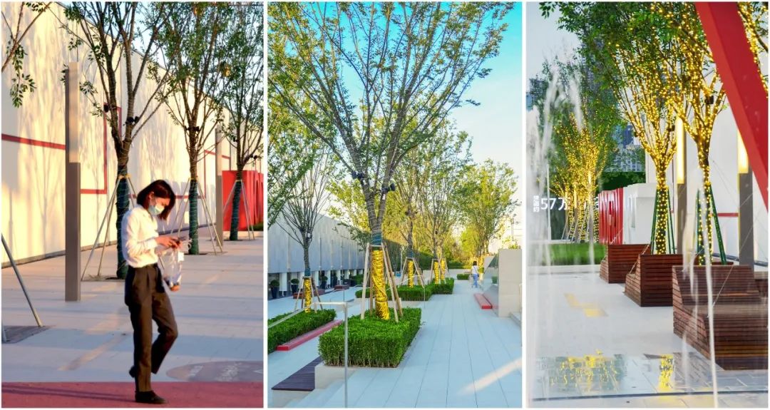 台州现代艺术中心街区景观设计丨中国台州丨T.Workshop创浦景观-129